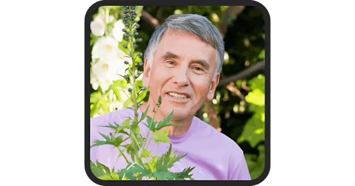 Future Badges Review-4